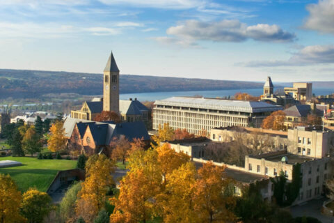 Cornell University